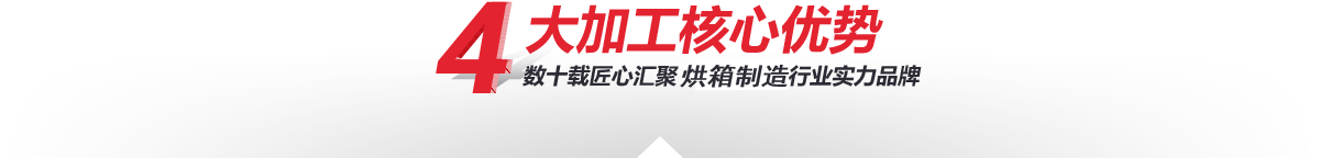 —4大核心加工優勢